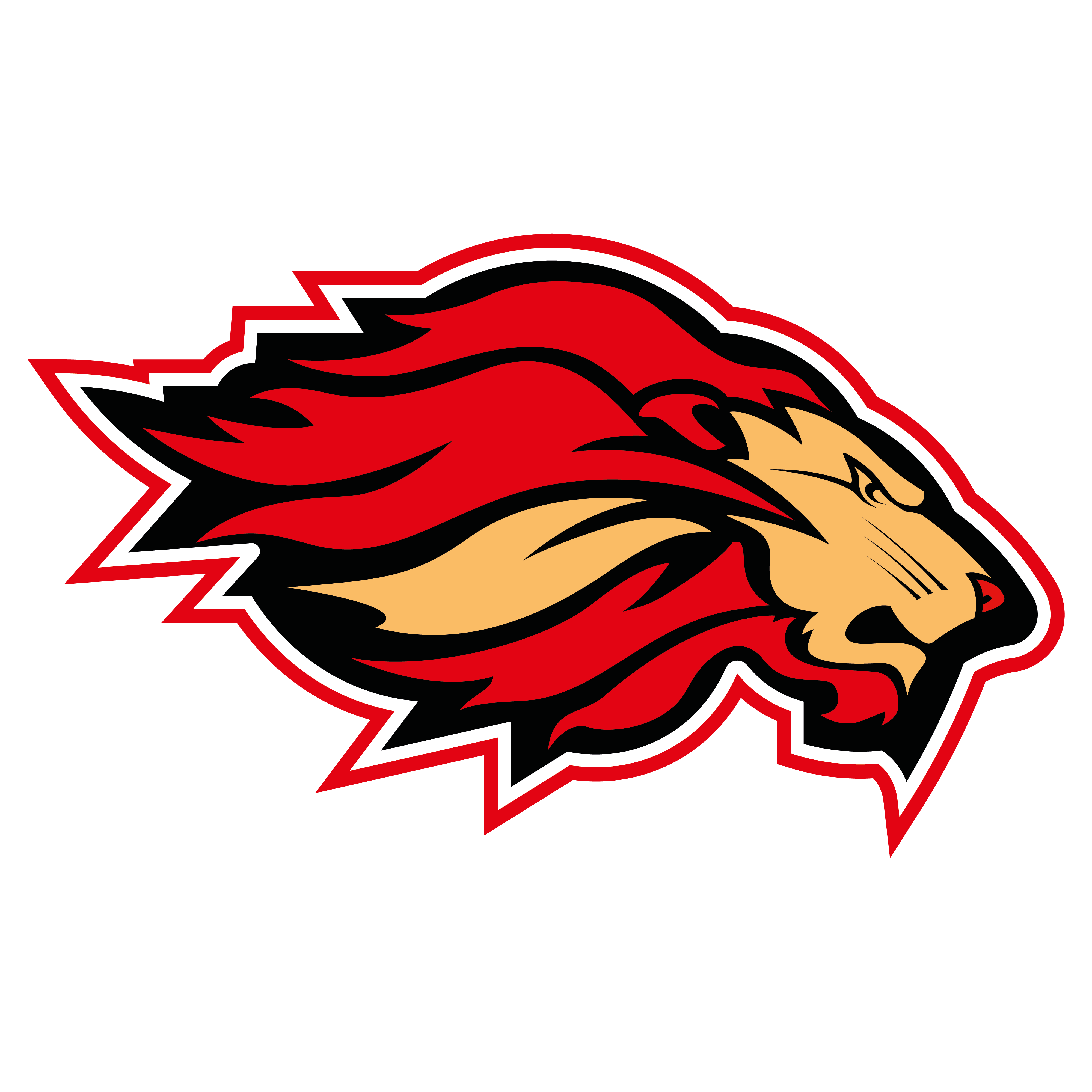 Alzey Lions